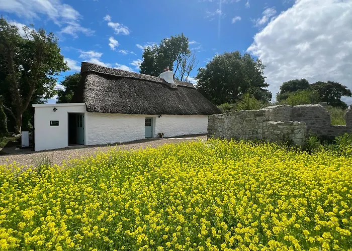 Дом отдыха Goggin